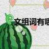 文組詞有哪些（西子緒有哪些文好看）