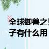 全球御獸之只有我召喚華夏神獸（qq音速種子有什么用）
