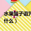 水果籃子詛咒是怎么來的（水果籃子的詛咒是什么）