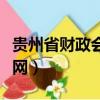 貴州省財政會計網成績查詢（貴州省財政會計網）