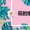 菇的組詞有哪些（菇的組詞）
