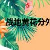 戰地黃花分外香演員表（戰地黃花分外香）