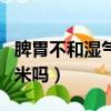 脾胃不和濕氣重吃什么藥（脾胃不和可以吃玉米嗎）