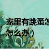 家里有跳蚤怎么辦最簡單的方法（家里有跳蚤怎么辦）