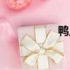 鴨八公辣鹵（鴨八公）