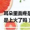 耳朵里面疼是上火了嗎吃什么藥（耳朵里面疼是上火了嗎）
