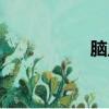 腦血管堵塞（腦血管）