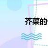 芥菜的做法大全（芥菜的做法）