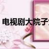 電視劇大院子女在線播放（電視劇大院子女）
