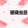 珊瑚蟲是不是生物（珊瑚是生物嗎）