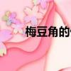 梅豆角的做法大全（梅豆角的做法）