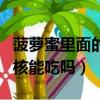 菠蘿蜜里面的核能吃嗎怎么吃（菠蘿蜜里面的核能吃嗎）
