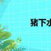 豬下水是什么部位（豬下水）