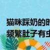 貓咪踩奶的時候發出咕嚕咕嚕的聲音（貓踩奶頻繁肚子有蟲）