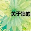 關于狼的成語故事（關于狼的成語）