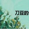 刀豆的做法教程（刀豆的做法）