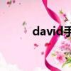 david手術全稱（david daper）