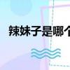 辣妹子是哪個省的民歌（辣妹子是哪個省）