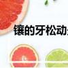 鑲的牙松動最好的處理方法（鑲的意思）