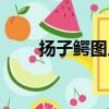 揚子鱷圖片大全大圖（揚子鱷圖片）