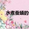 水煮蠶蛹的做法煮幾分鐘（蠶蛹的做法）