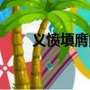 義憤填膺的意思（義正詞嚴的意思）