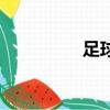足球冠軍杯（足球冠軍）