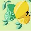 九重天香煙（九重天）