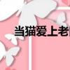 當貓愛上老鼠在線觀看（當貓愛上老鼠）