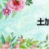 土加于念什么（土加于）