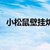 小松鼠壁掛爐質量怎么樣（小松鼠壁掛爐）