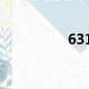 6313軸承價格（6313）