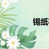 錫紙花甲圖片（錫紙花甲）
