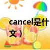 cancel是什么意思中文（global什么意思中文）