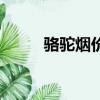 駱駝煙價格多少錢（駱駝煙價格）