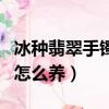 冰種翡翠手鐲有棉絮怎么養（翡翠手鐲有棉絮怎么養）