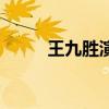 王九勝演了幾集孫悟空（王九勝）