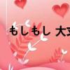 もしもし 大丈夫か?（大丈夫だ 問題ない）
