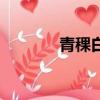 青稞白酒好喝嗎（青稞白酒）