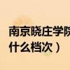 南京曉莊學院什么專業比較好（南京曉莊學院什么檔次）