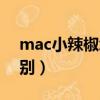 mac小辣椒怎么看真假（mac小辣椒真假辨別）
