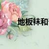 地板襪和普通襪子的區別（地板襪）