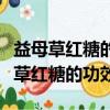 益母草紅糖的功效與作用的功能與主治（益母草紅糖的功效）
