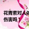 花青素對人體有什么作用（遠紅外線對人體有傷害嗎）