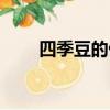 四季豆的做法家常（四季豆的做法）