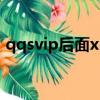 qqsvip后面x2啥意思（qqsvip后面的數字）