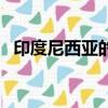 印度尼西亞的總統（印度尼西亞首任總統）