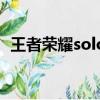王者榮耀solo最強英雄（王者榮耀solo賽）