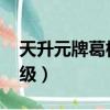 天升元牌葛根桑椹枳椇子片（qq多少天升一級）
