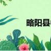 略陽縣中學路殺人案（略陽縣）